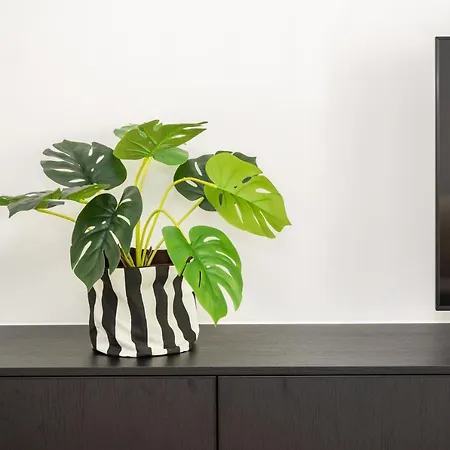 דירה Cosy Seaside אוסטנדה